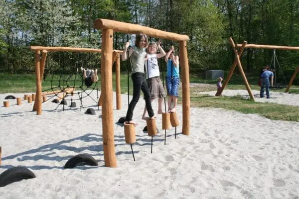 Robiniaram med balansklossar - Bild 2