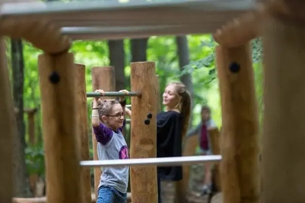 Robiniaram med armgång - Bild 4