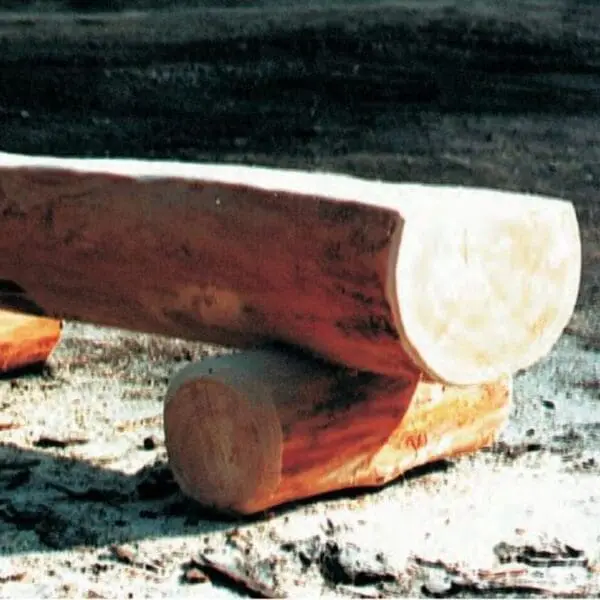 Halv trädstamsbänk - Bild 3