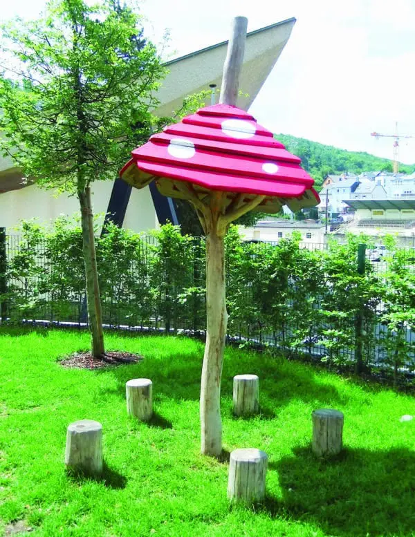 Grupp av svampar - sittstubbar - Bild 3