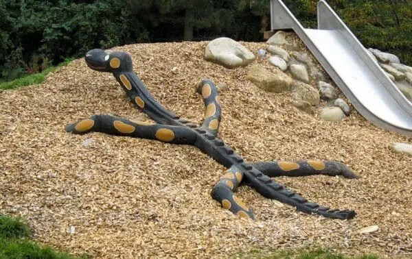 Klättersalamander - Bild 2