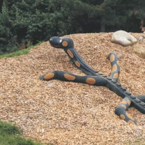 Klättersalamander - Bild 3