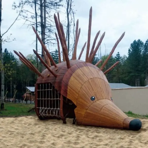 Igelkotten Ivan - Bild 3