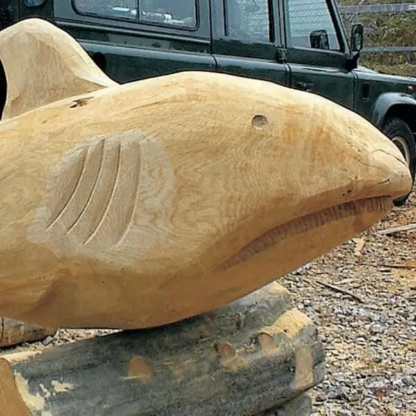 Hajskulptur - Bild 3