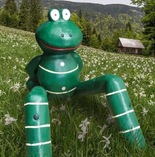 Groda - Bild 2