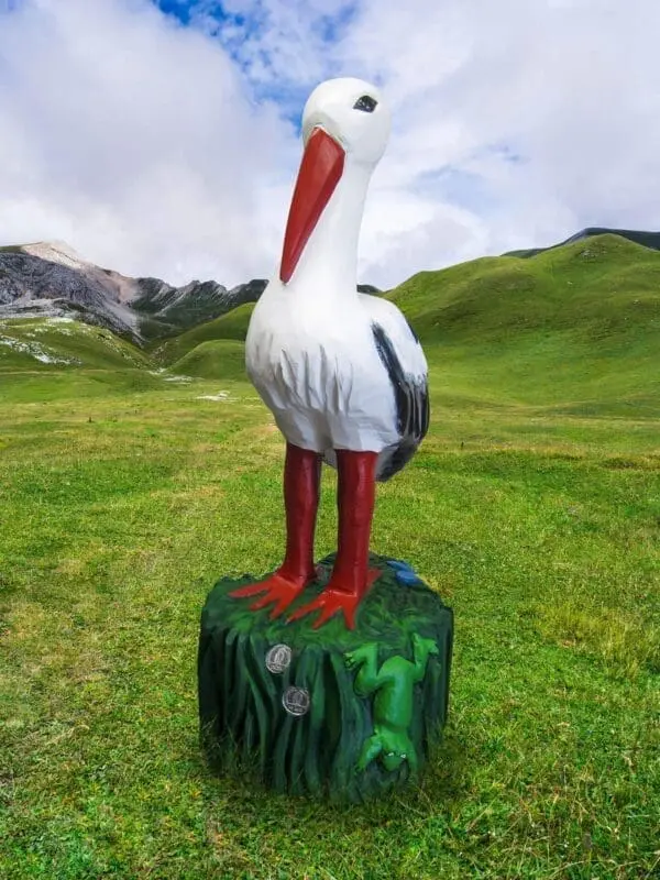 Stork - Bild 2