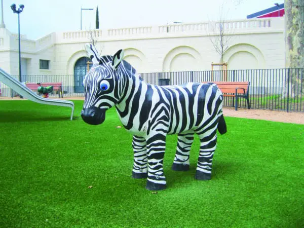 Zebra - Bild 2