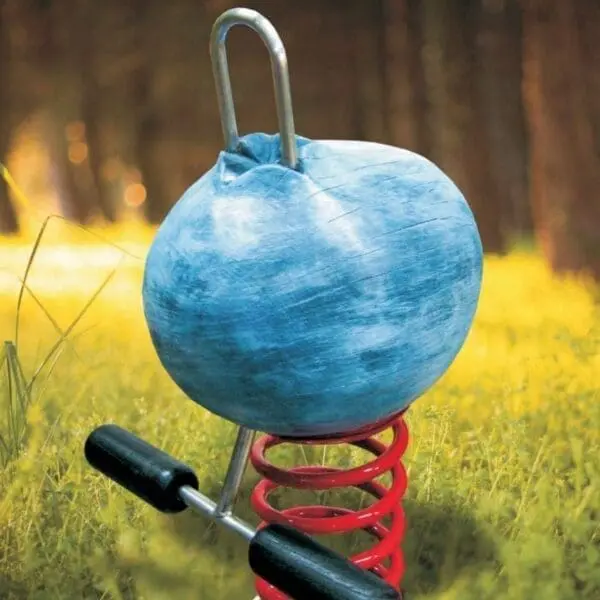 Gungdjuret blåbäret - Bild 3