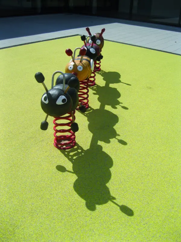 Fyrmansvippi insekterna - Bild 4