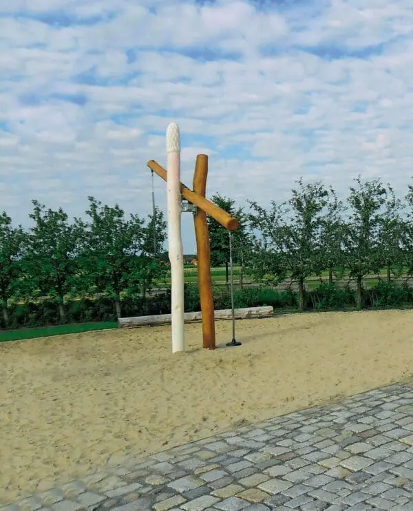 Hög gungbräda sparrien - Bild 2