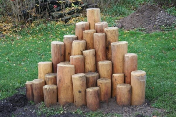 Träklippa i robinia - Bild 2