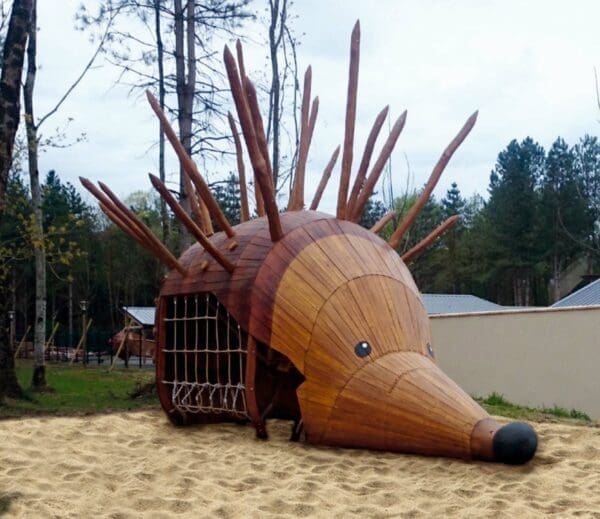 Igelkotten Ivan - Bild 2