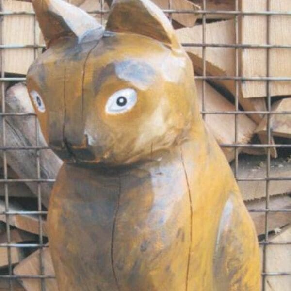 Katt - Bild 3