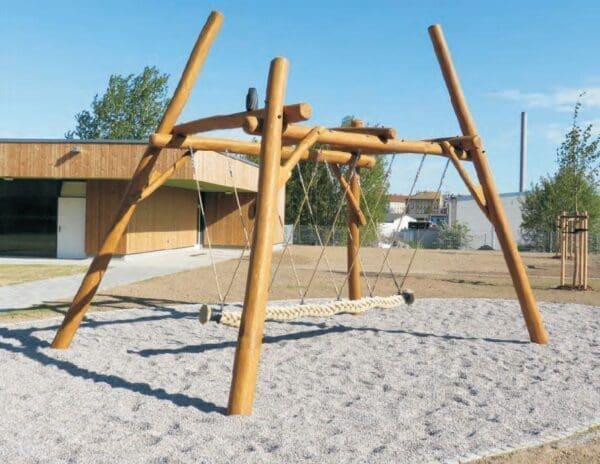 Stor repgunga i robinia - Bild 3